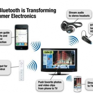 �������������ֵ���